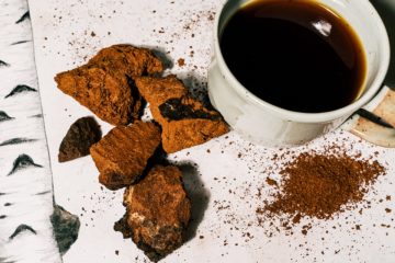 Tác dụng chống lại sự tăng sinh của các tế bào ung thư ruột kết ở người của Nấm Chaga