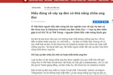 Phân biệt cây Xạ đen châu Âu có khả năng chữa ung thư với cây Xạ đen chưa được kiểm chứng chất lượng